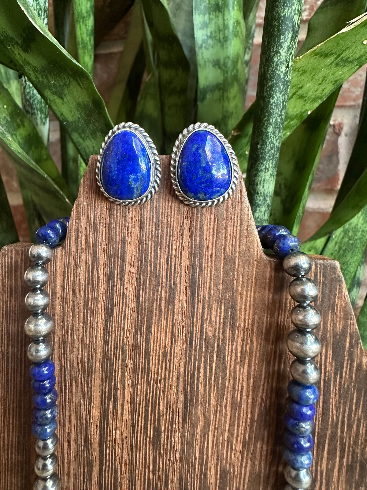 Lapis Studs (C.Belone)
