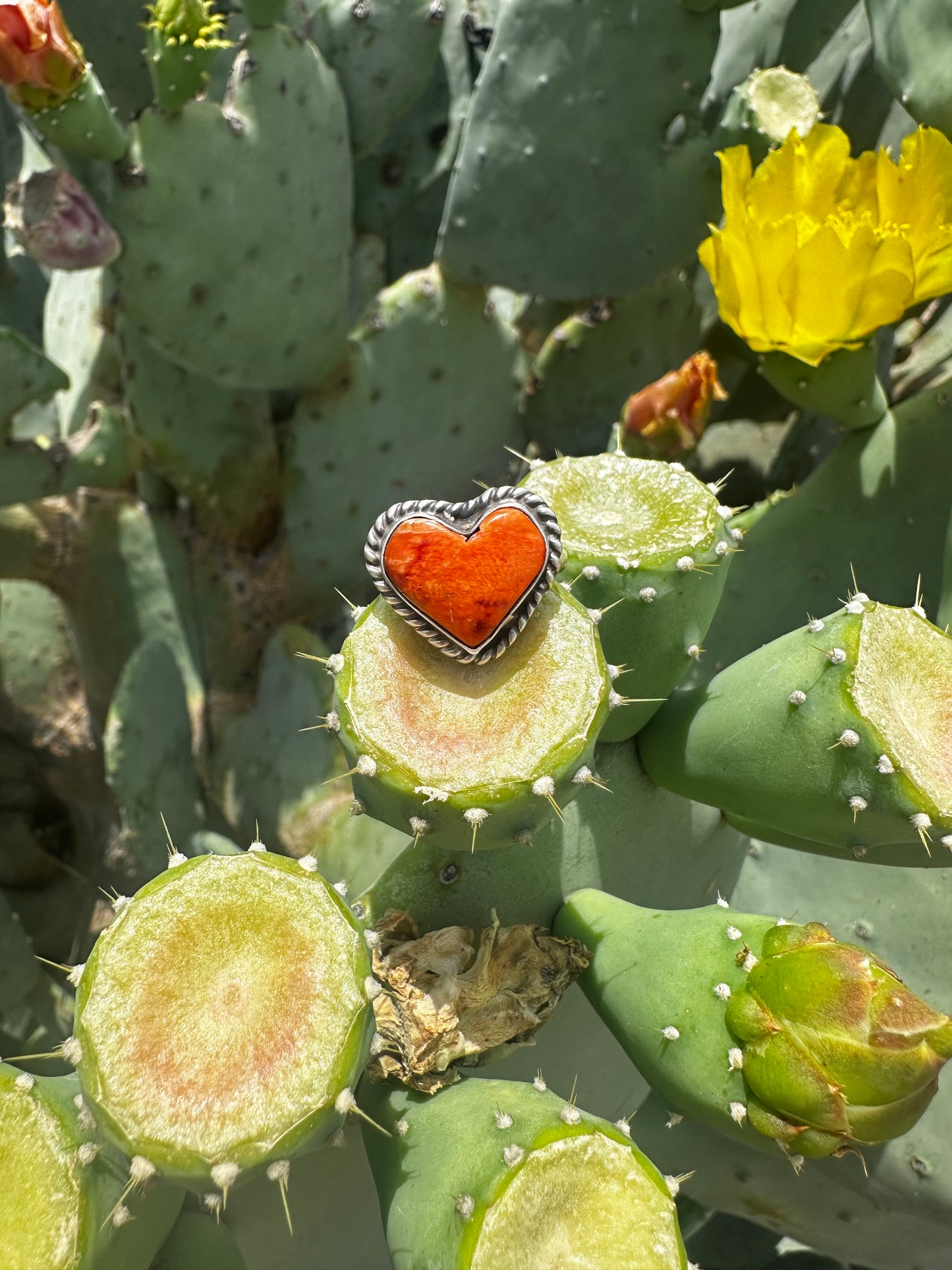Heart Rings