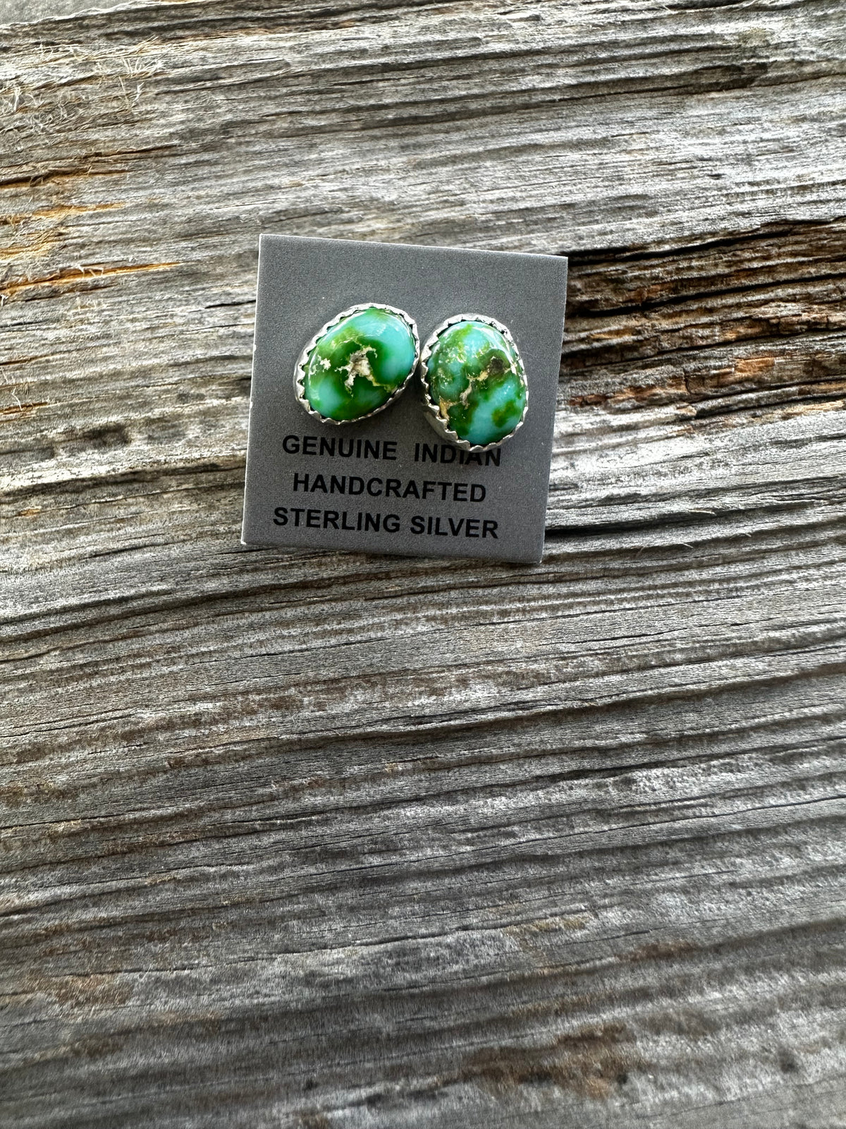 Sonoran Studs (Michael Bitsie)