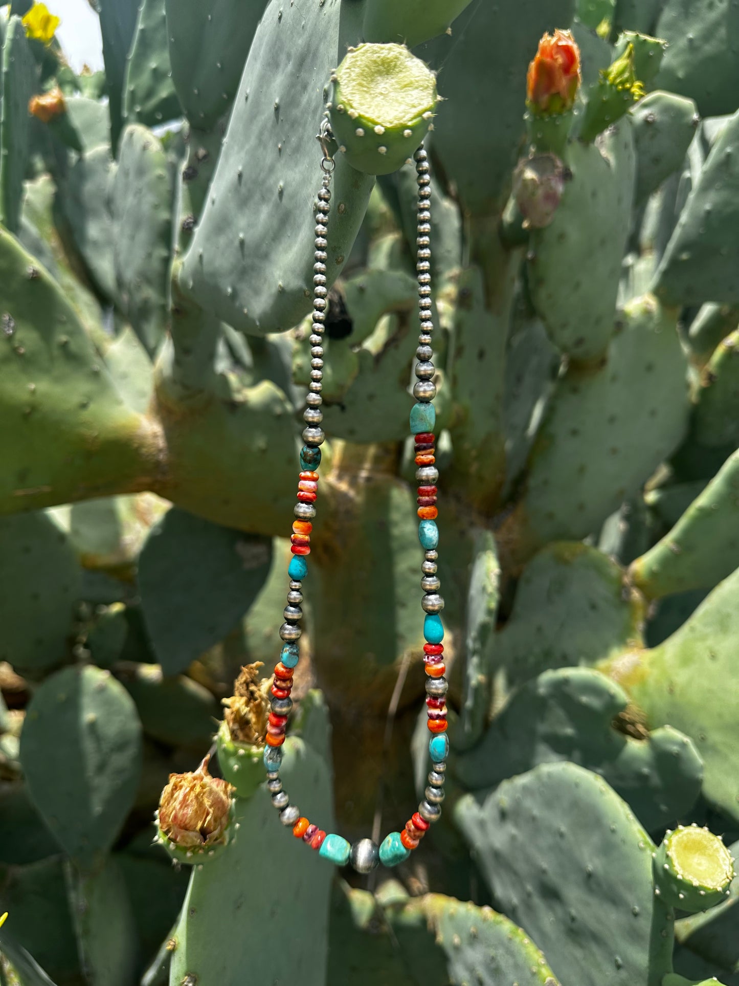 Turquoise, Spiny and Pearls Necklace