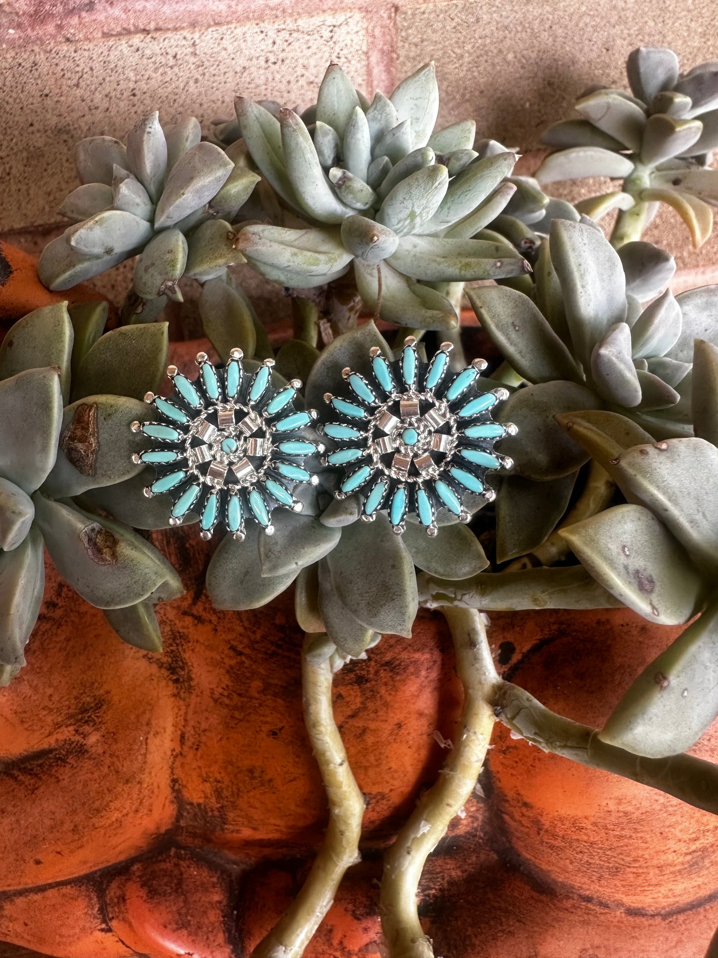 Round Earrings