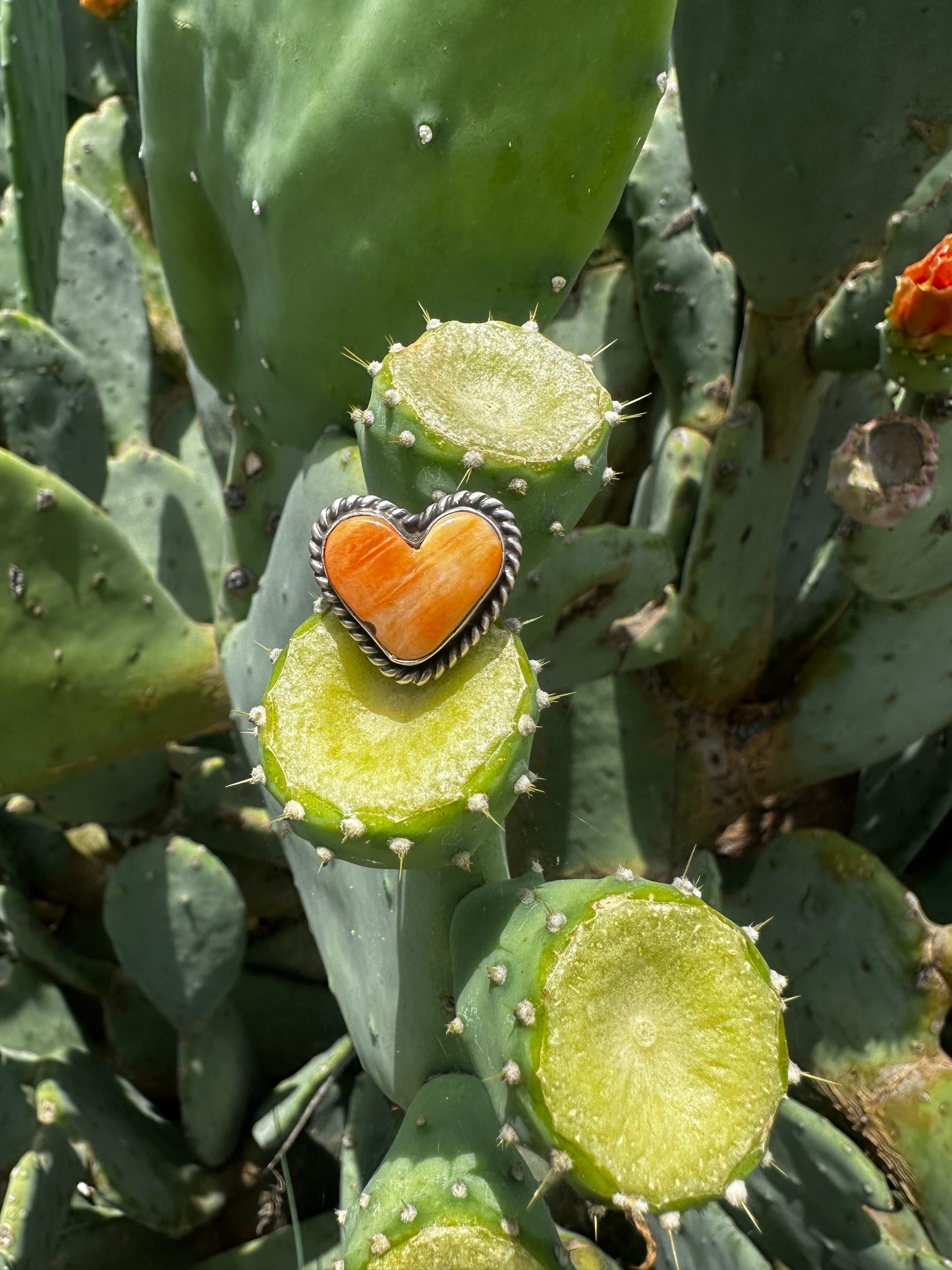 Heart Rings